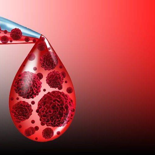 Otolog Kök Hücre Otolog Kök Hücre